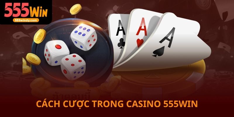 Cách đặt cược trong casino 555win dễ chơi