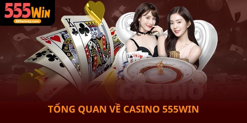Tổng quan về Casino 555win đầy trí tuệ
