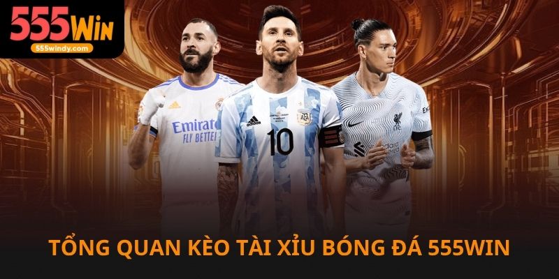 Tổng quan về kèo tài xỉu bóng đá tại nhà cái 555win